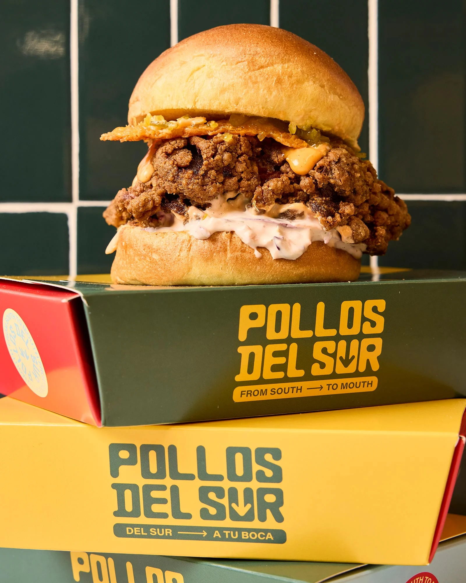 POLLOSDELSUR_05