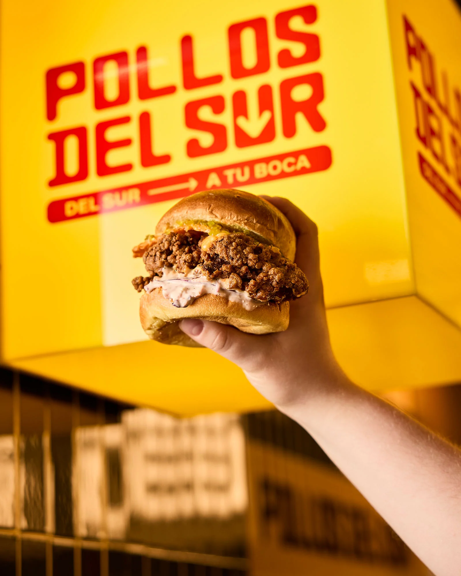 POLLOSDELSUR_06